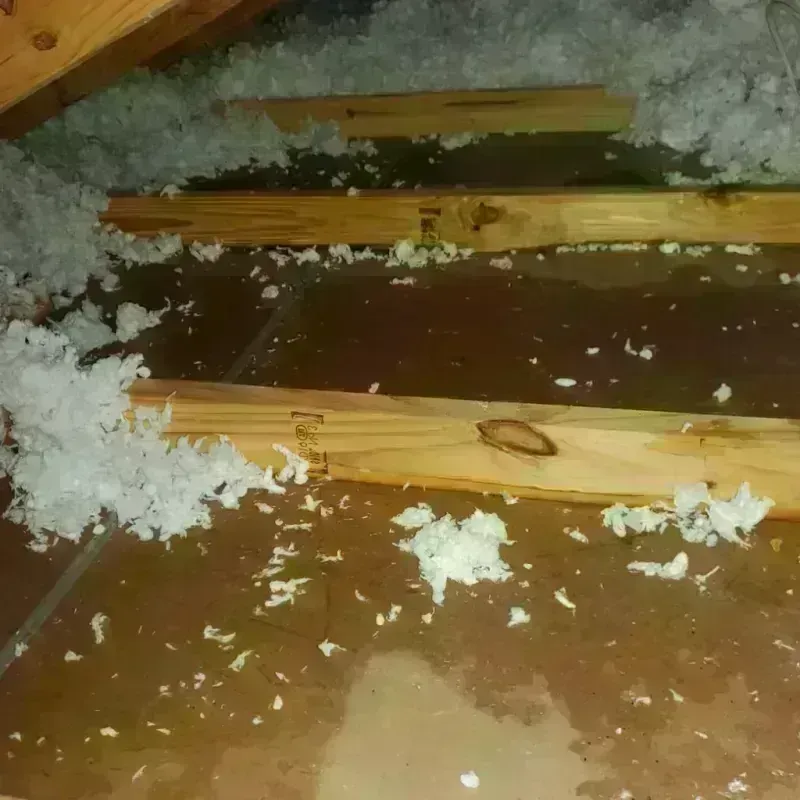 Attic Water Damage in Erie County, OH