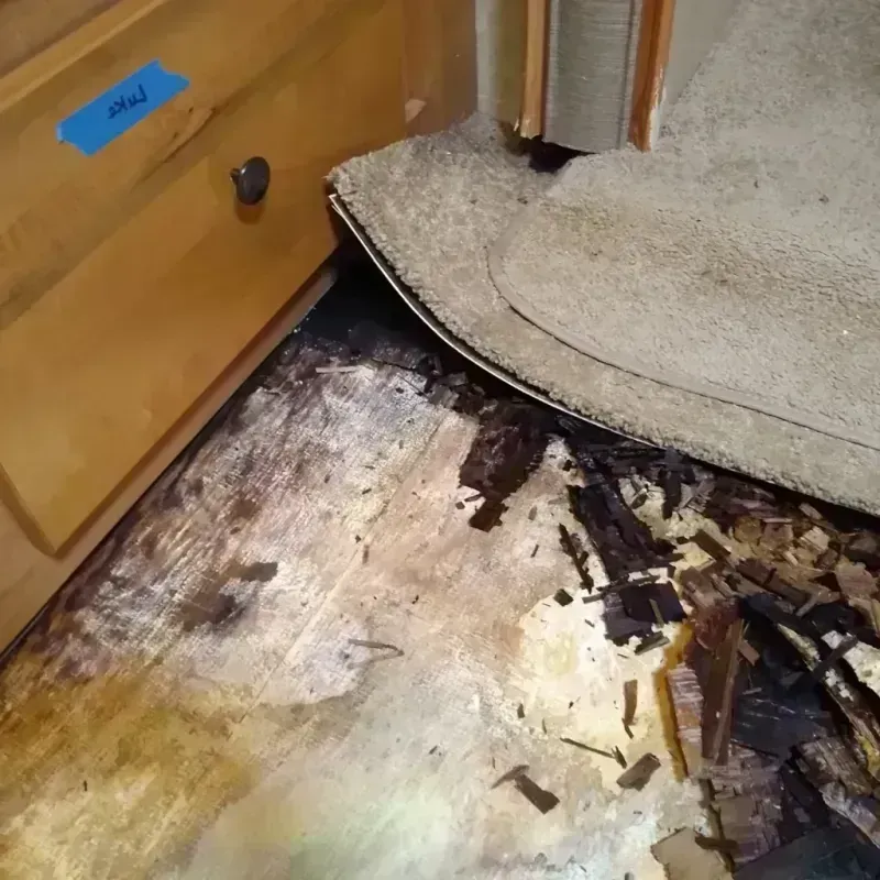 Wood Floor Water Damage in Erie County, OH